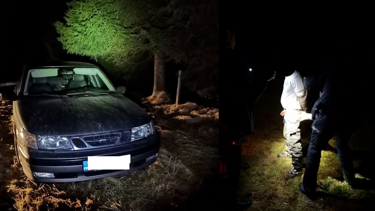 Řidič na Českokrumlovsku ujížděl policistům, pak utekl do lesa. Vypátral ho policejní pes